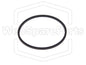Riemen  (Back Tension Belt ) Für Kassettenrecorder Kenwood KX-880GR